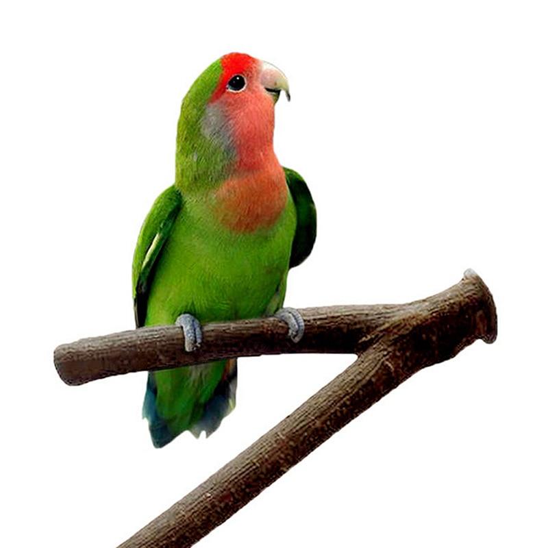 Hot sale Pet Parakeet Budgie Hanging Play Toys Parrot Wooden Resk Holder Perches Platform Bird Cage Wood Branch Stand Perches - GoJohnny437
