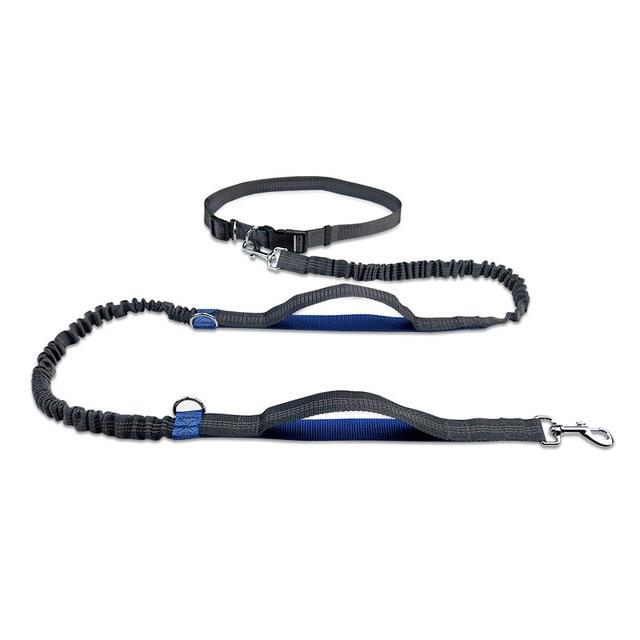 Retractable Hands Free Pet Dog Leash For Running Jogging Walking Dual Handle Bungee Leash Reflective Adjustable Waist Belt - GoJohnny437